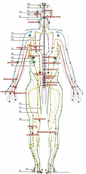 meridians_img